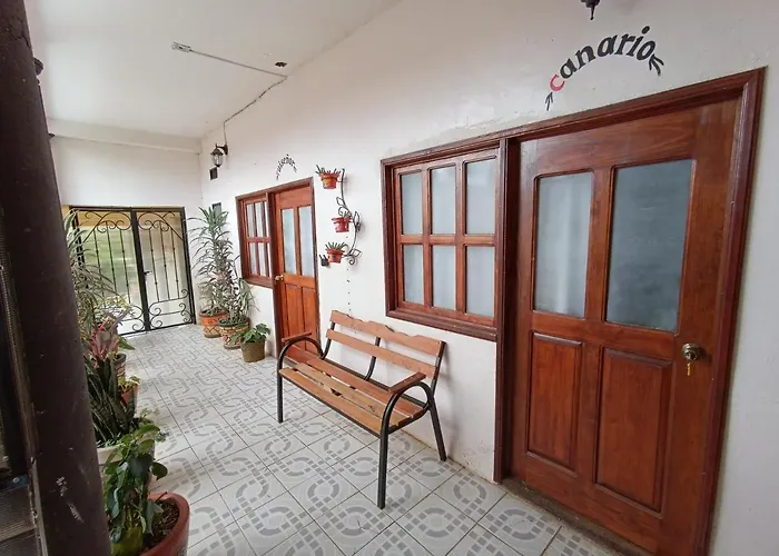Casa Petirrojo - Habitaciones En Patzcuaro